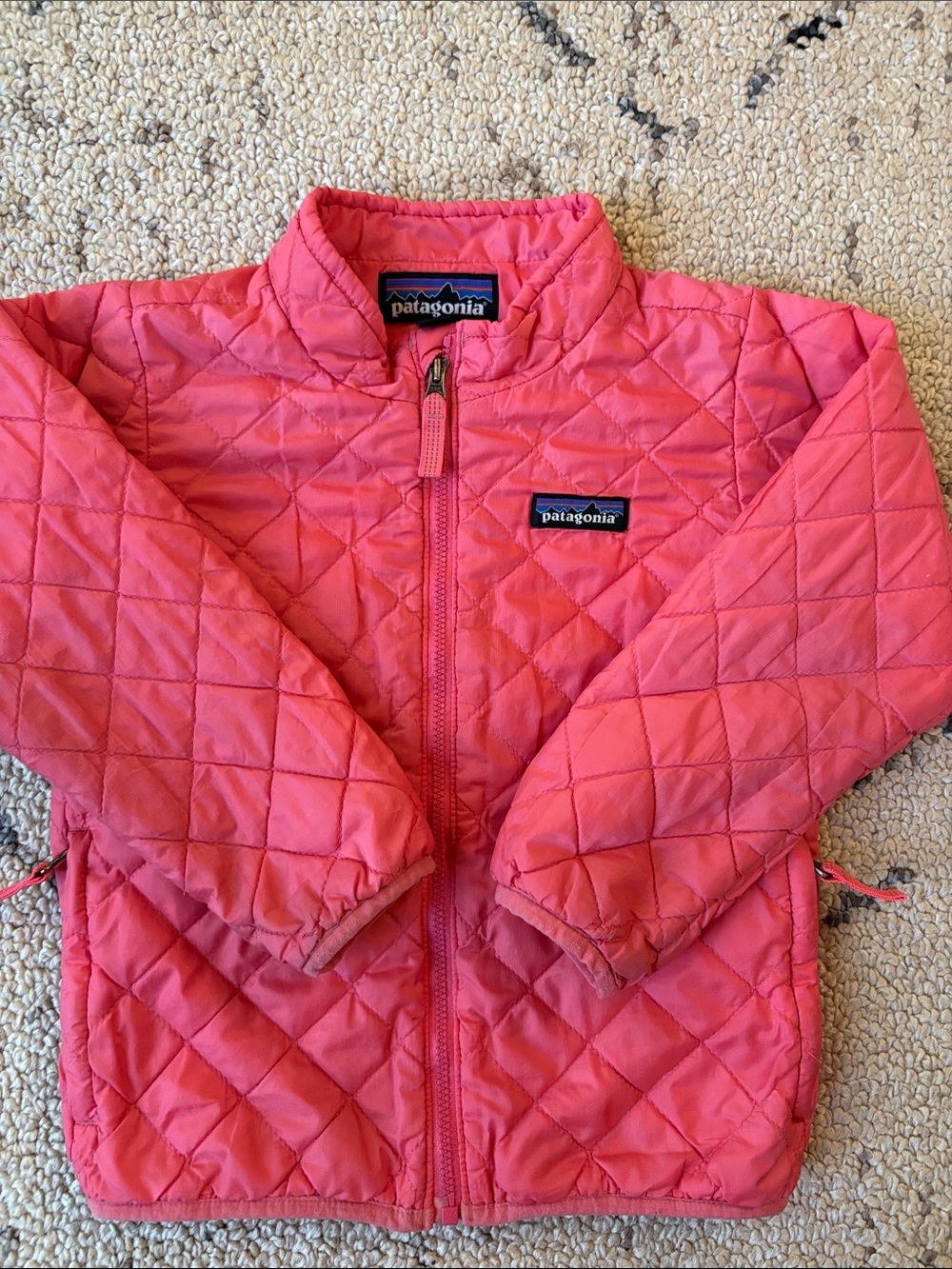 Patagonia Kids Puffer Jacket (4T)